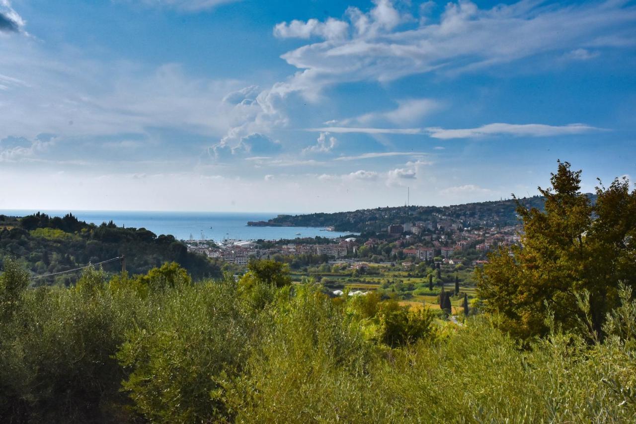 Apartma Med Oljkami - Portorož Exteriör bild